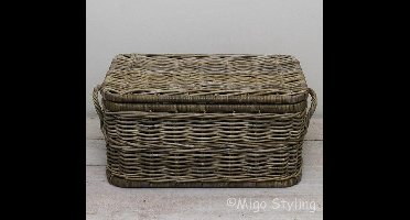 Opbergmand-Met deksel-70x40xH36-Rechthoek-Hengsels-Riet-Rotan