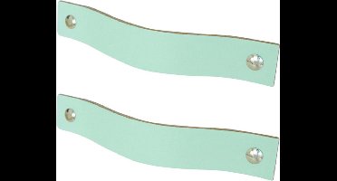 2x Leren handgrepen 'platte greep' - maat S (15,8 x 2,5 cm) - MINT  - incl. 3 kleuren schroefjes (handgreepjes - leren grepen - greepjes - leren lusjes)