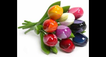 Tulpenboeket - 9 stuks - Nijhuis - gekleurd - 20 cm