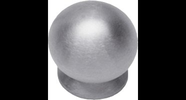 Starx Knop bolrond - achterplaat - diameter - 25mm - RVS