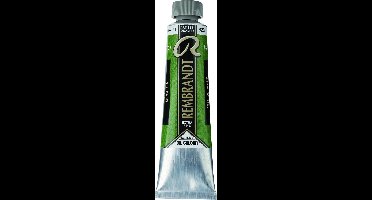 Rembrandt Olieverf | Sap Green (623) 15 ml