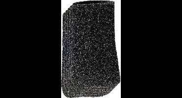 Einhell 2351135 Schuimstoffilter 5 stuk(s)