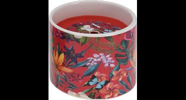 Kaars - tropische bloemen - tuin - kaarsenhouder - kaarsen