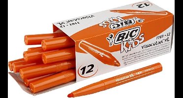 Bic Kleurstiften Visacolor Xl 3 Mm Oranje 12 Stuks