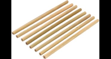 Bamboe rietjes - 8 stuks - milieuvriendelijk - 100% biologisch - Rietjes