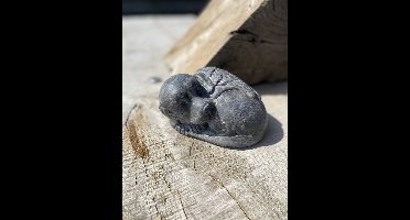 Hond met vleugels beeld voor herdenking – grafbeeld huisdier – betonnen gedenkbeeld hond