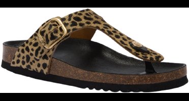 Scholl - Bruin Scholl Anais Slippers Bruin F00629