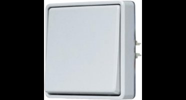 JUNG opbouw kruisschakelaar 10A zonder onderkast IP44 - WG600 grijs (607E)