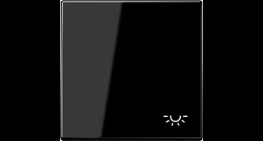 JUNG LS990 aan/uit schakelaar met lichtsymbool zwart