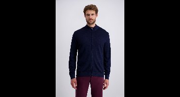 pierre cardin Gebreide jas StKrRV