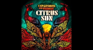 Expansions And Visions