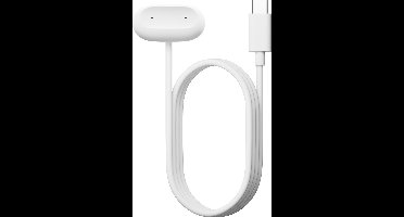Google Fitbit Air Oplaad Kabel - Snow