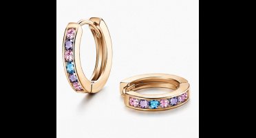 Oorbellen- Goudkleurig - Zirkonia- Verguld - Roestvrijstalen oorbellen - sieraden – Cadeau tip – Hip - Trendy