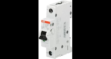 ABB Installatieautomaat voor hogere (gelijk)spanningen 1polig, 40A 230VAC,
