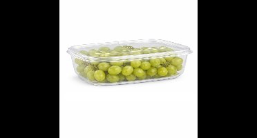 Plasticforte Vershoudbakje vriezer en magnetron - 800 ml - kunststof