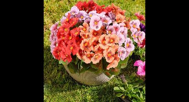 Fall Artificial Flowers, 5 Bundles Fake Flowers for Outdoor Planters, Faux Plants with Silk Flowers for Front Porch Outdoors Decor Garden Patio Home Aesthetic - Mix-Colored