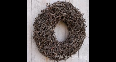 MigoStyling - Bonsai Krans - Naturel - Landelijk - Dia 40 cm - Sfeervol