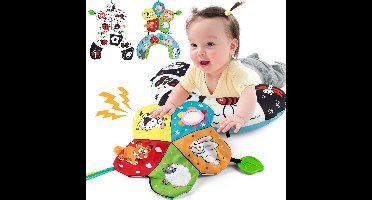 Buikligkussen voor baby's – Muzikaal speelkussen voor pasgeborenen – Babykussen met spiegel, bijtring, babyspeelgoed en sensorische functies – Activerend speelgoed voor baby's