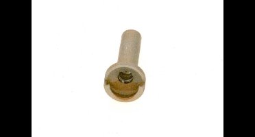 BOSCH Ontstekingssproeier (0,37) (NG), 87082002710