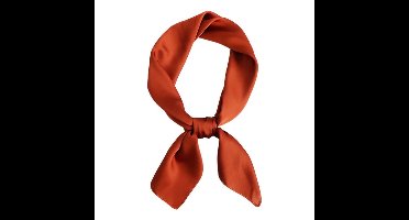 Effen vierkante damessjaal, ademende lichtgewicht sjaal, hoofdband, multifunctionele modieuze imitatiezijden sjaal voor bandana's, haarbanden, nekbanden, taillebanden en als shirtdecoratie, 70 x 70 cm, Bruin