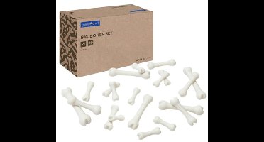 Guidecraft educatief speelgoed Big Bones set - 20 stuks karton.
