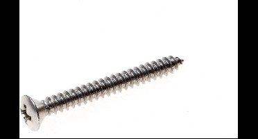 parker rvs lenskop kruiskop 2.9x13mm (200st.)