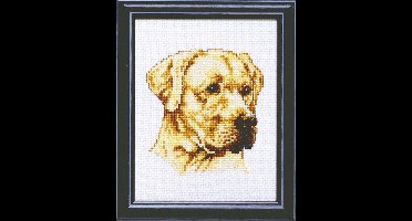 Pako Borduurpakket met telpatroon - Labrador hond - 210.858 - voorgesorteerd garen - Aida - 13 x 17 cm - DIY kit