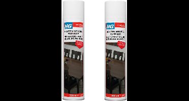 HG Houtenmeubelreiniger 2-pack met KD spons