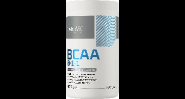 OstroVit - BCAA - 8-1-1 - 400 g - 100% Natural geen toevoegingen puur product - L-leucine + L-isoleucine + L-valine Aminozuren - Supplement