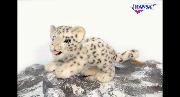 Sneeuwpanter Welp, Hansa