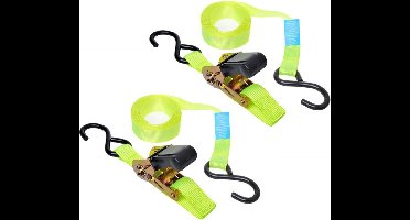 ProPlus Spanband met ratel - 5 meter - 25 mm breed - set van 2 - groen