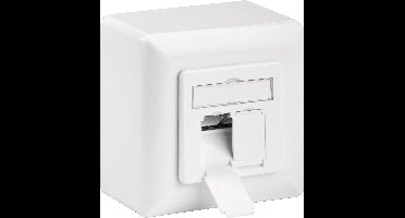 Premium CAT6 Gigabit netwerk opbouw wandcontactdoos met 2 RJ45 poorten - afgeschermd / wit