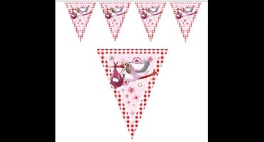 Folat geboorte vlaggen slinger - geboorte meisje - 6 mtr - versiering