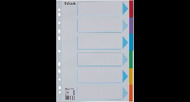 Esselte - Tabbladen A4 11R karton 6-delig met voorblad | 20 stuks