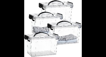 Plasticforte Opslagbox - 4x - met deksel - transparant grijs - 6 liter - 25 x 19 x 17 cm - kunststof - opbergdoos - opbergen