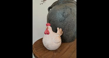 Witte kip - Groot - Countryfield