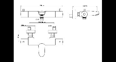 Wiesbaden Caral Badthermostaat - RVS Look