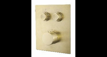 Afbouwplaat Theo Geborsteld Messing