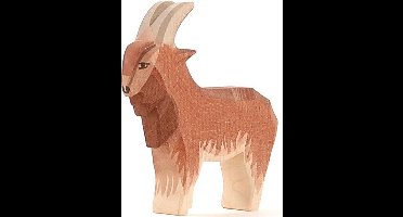 Ostheimer Geit - Bok