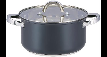 alpina Pan met Deksel 4.7L Ø22Cm