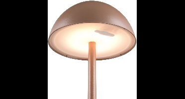 REALITY RICARDO - Tafellamp - Mokka - incl. 1x SMD 1,7 W - 4-stappen TOUCH - USB-aansluiting - Verlichting omhoog en omlaag - Oplaadbaar - Snoerloos - Buitenverlichting - IP54