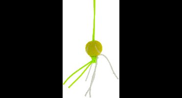 Gelukshanger Tennisbal > 15mm | 10 Stuks