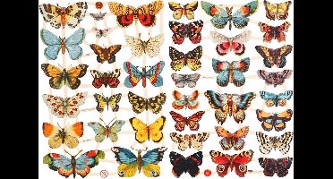 Vintage plaatjes, vlinders, vel 16,5x23,5 cm, 2 vel/ 1 doos
