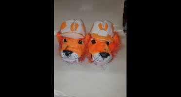 Sloffen/schoenhoes Leeuwenkop /stk