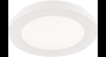 REALITY CAMILLUS - Plafondlamp - Wit - incl. 1x SMD 9 W - Dimbaar met schakelaar - Wand- en plafondmontage