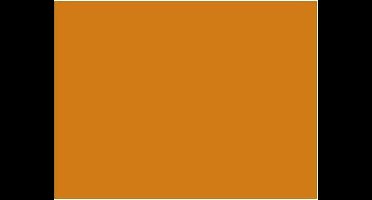 Tekenpapier Folia A4 terracot - 130gr pak 100 vel