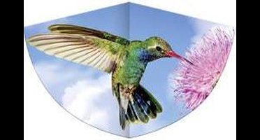 Günther Flugspiele Eenlijns Vlieger Kolibri Spanwijdte 750 mm Geschikt voor windsterkte 3 - 6 bft