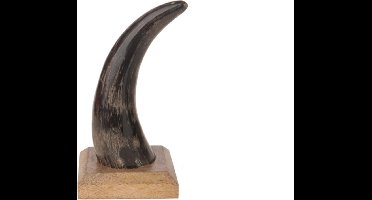 Decoratie Dijk Natural Collections Koehoorn Mat Op Voet Naturel 22Cm