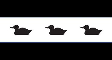 Vlaggenclub Vlag Diemen 50x75cm - Grote bootvlag van glanspolyester