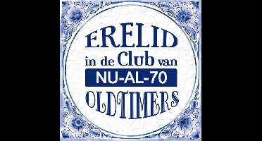 Tegels delfts blauw - Nu-al-70